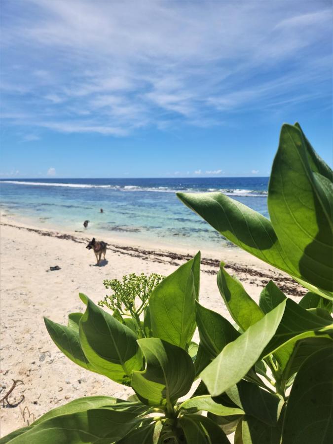 Green Villa Moorea Temae المظهر الخارجي الصورة